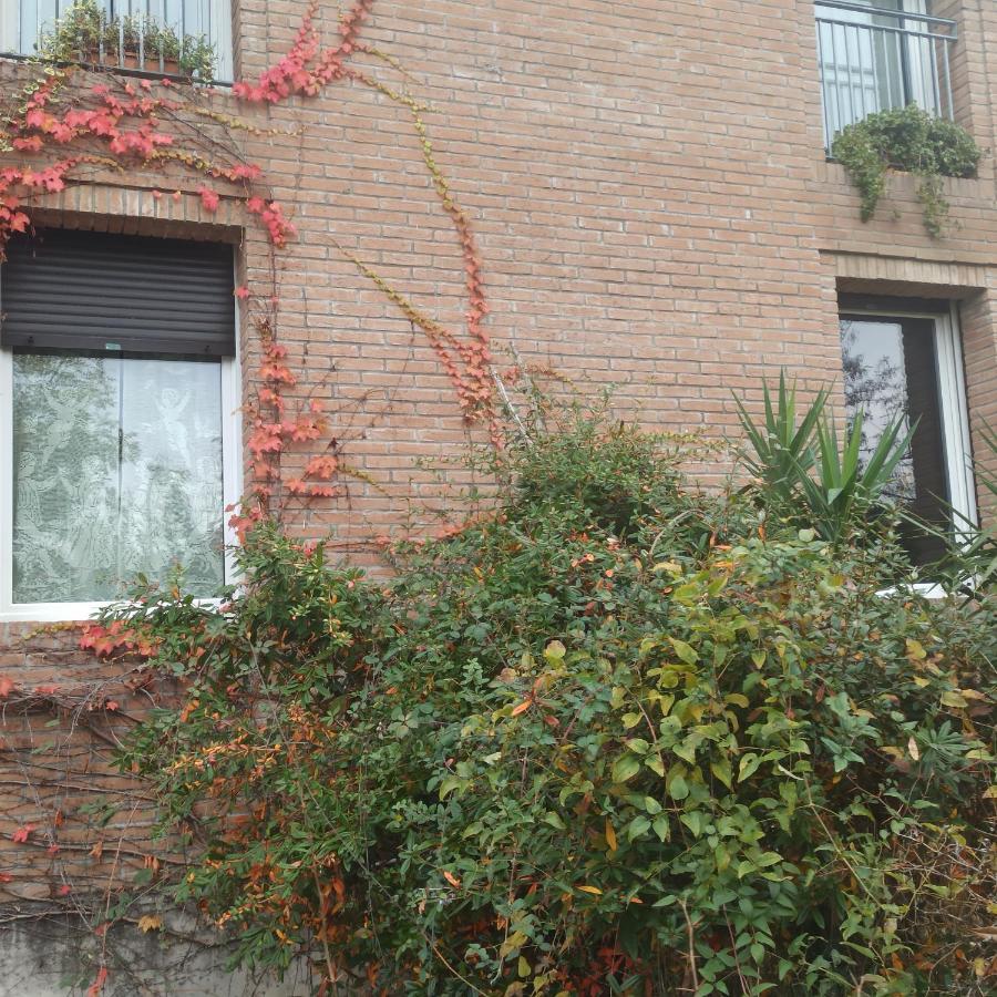 Villa Casa Vincenzo 130 Mq Con Portico Ed Ingresso Esclusivo Dal Giardino Felino Exterior foto